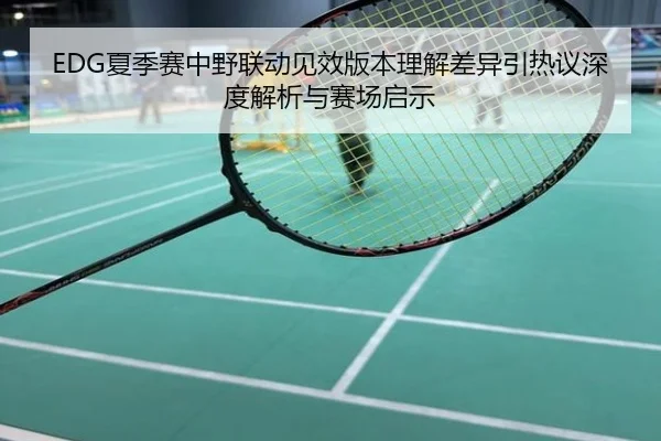 EDG夏季赛中野联动见效版本理解差异引热议深度解析与赛场启示